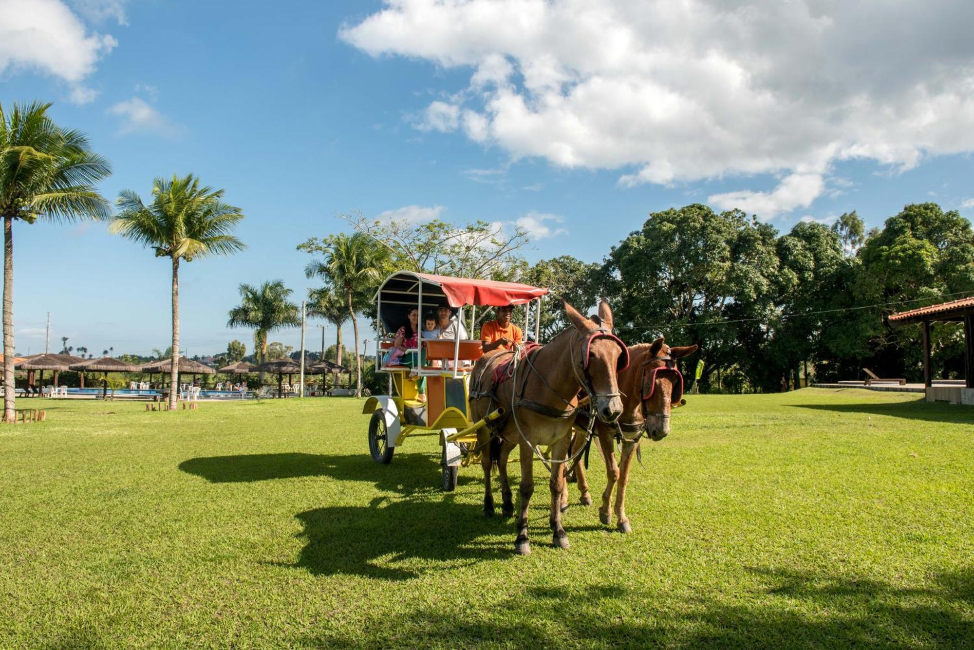 Hotel Fazenda Mirage Feira de Santana Ngoại thất bức ảnh